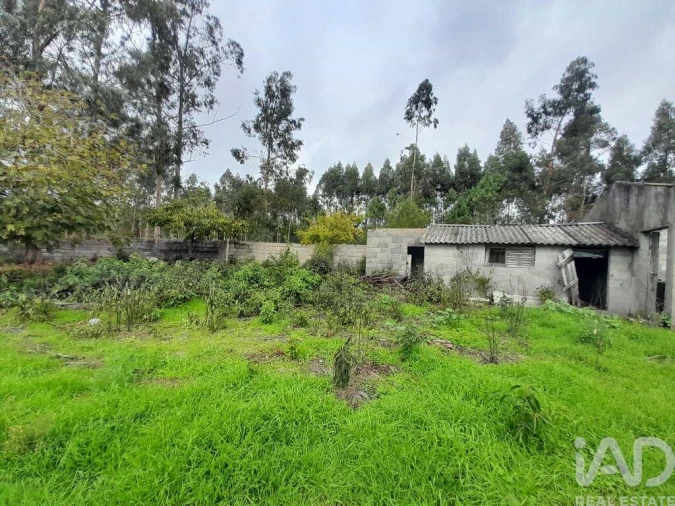 Terreno para Venda em Tocha Foto 2