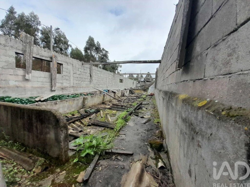 Terreno para Venda em Tocha Foto 4