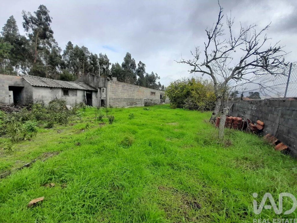 Terreno para Venda em Tocha Foto 3