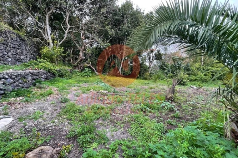 Moradia T5 para Venda em São Mateus da Calheta Foto 7