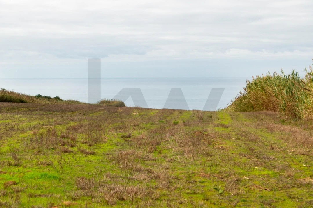 Moradia T3 para Venda em São Pedro da Cadeira Foto 26