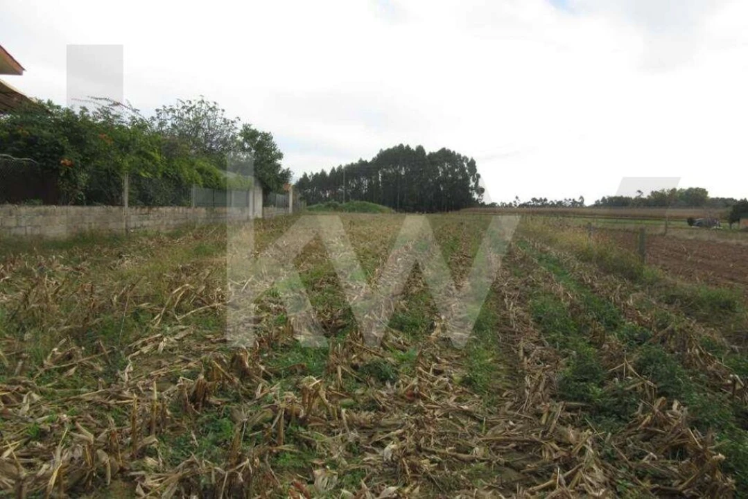 Terreno para Venda em Oliveirinha Foto 3