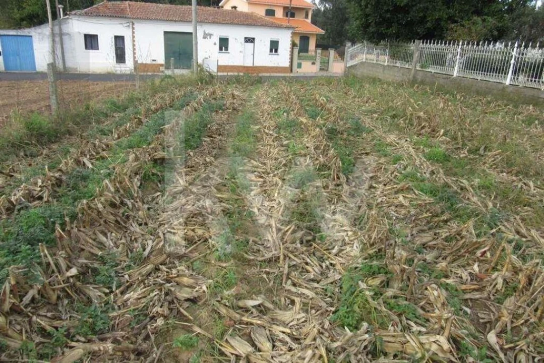 Terreno para Venda em Oliveirinha Foto 5