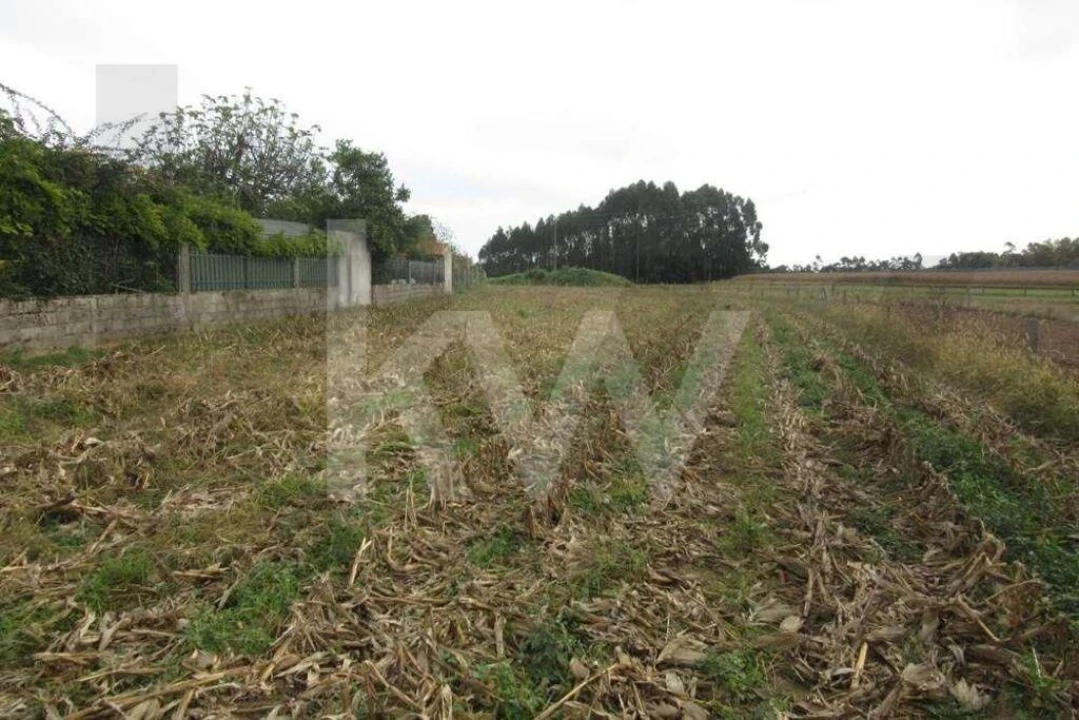 Terreno para Venda em Oliveirinha Foto 8