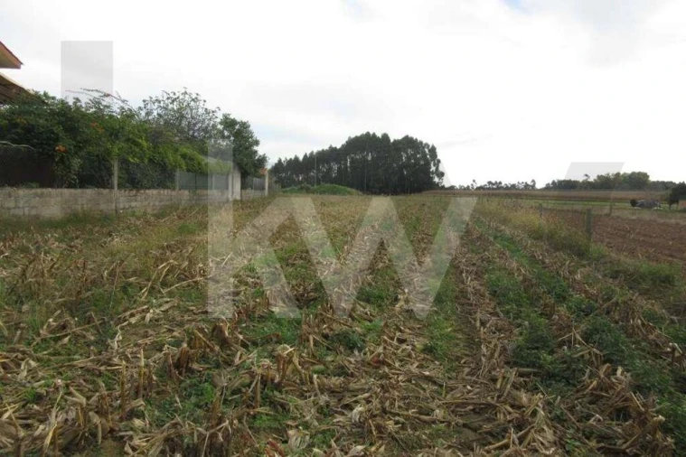 Terreno para Venda em Oliveirinha Foto 3