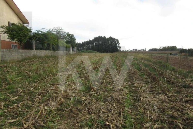 Terreno para Venda em Oliveirinha Foto 4