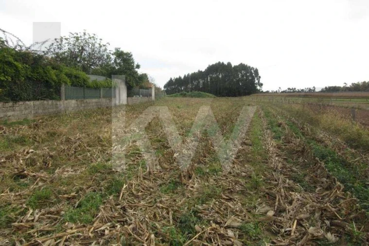 Terreno para Venda em Oliveirinha Foto 8