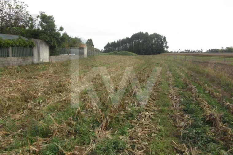 Terreno para Venda em Oliveirinha Foto 1
