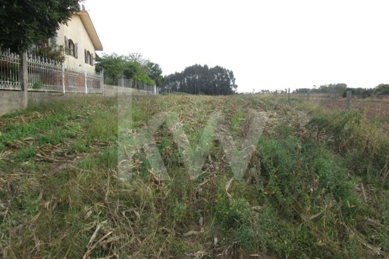 Terreno para Venda em Oliveirinha Foto 2
