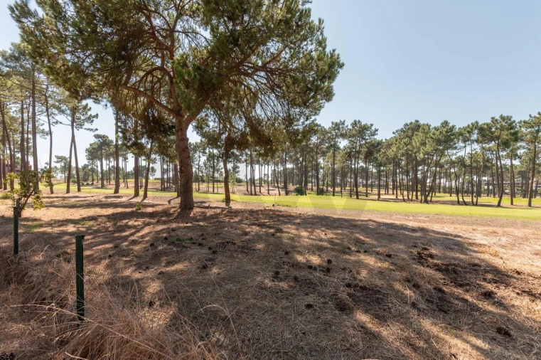 Apartamento T2 para Venda em Charneca de Caparica e Sobreda Foto 26