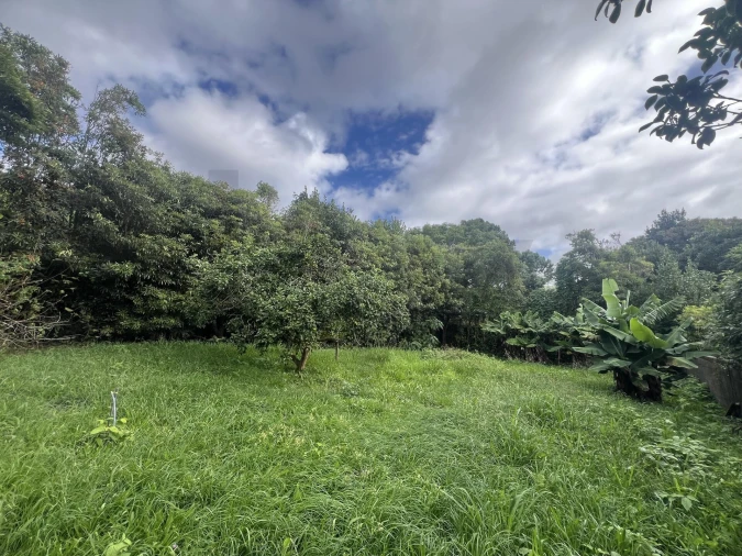 Moradia T7 para Arrendamento em Lagoa (Nossa Senhora do Rosario) Foto 21