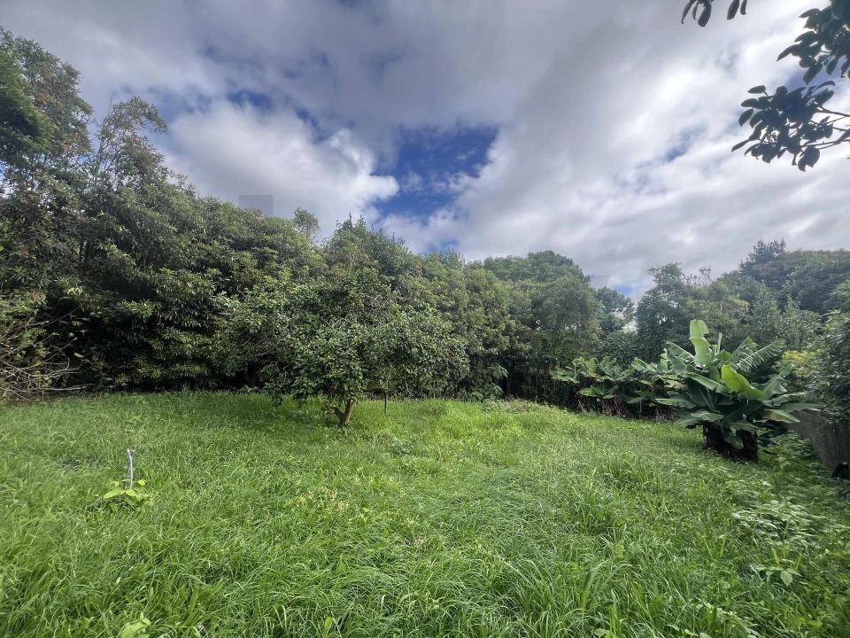 Moradia T7 para Arrendamento em Lagoa (Nossa Senhora do Rosario) Foto 21