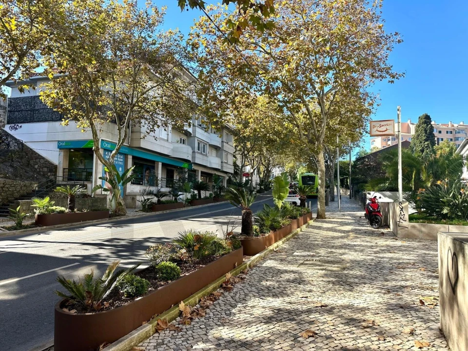 Escritório para Arrendamento em Cascais e Estoril Foto 24