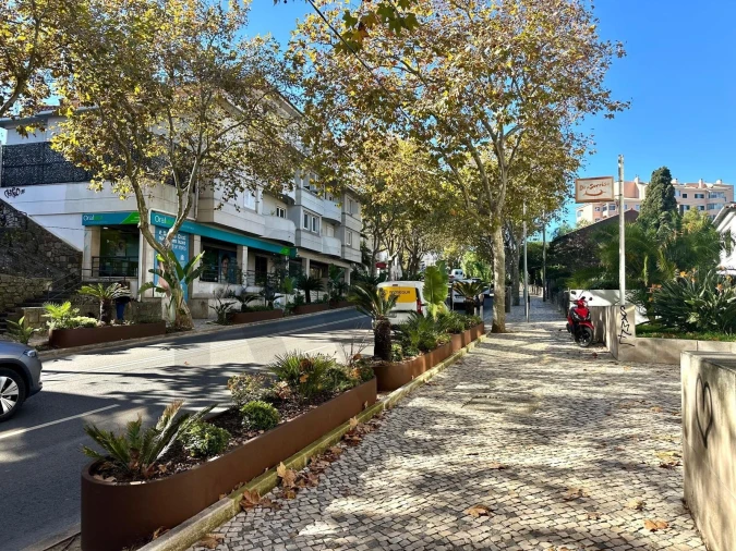 Escritório para Arrendamento em Cascais e Estoril Foto 19