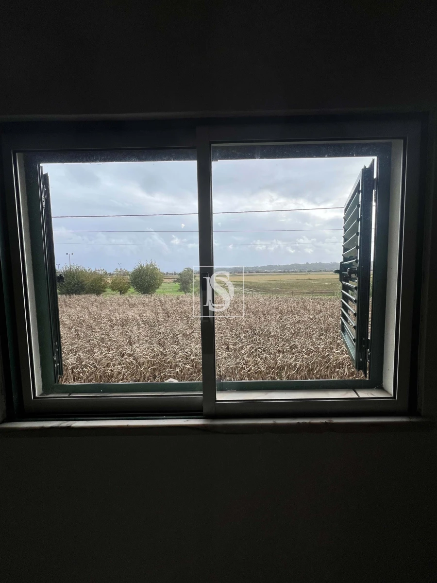 Moradia T1 para Venda em Ovar, São João, Arada e São Vicente de Pereira Jusã Foto 18