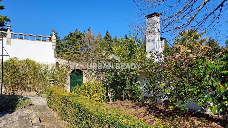 Quinta T6 para Venda em Mangualde, Mesquitela e Cunha Alta Foto 37