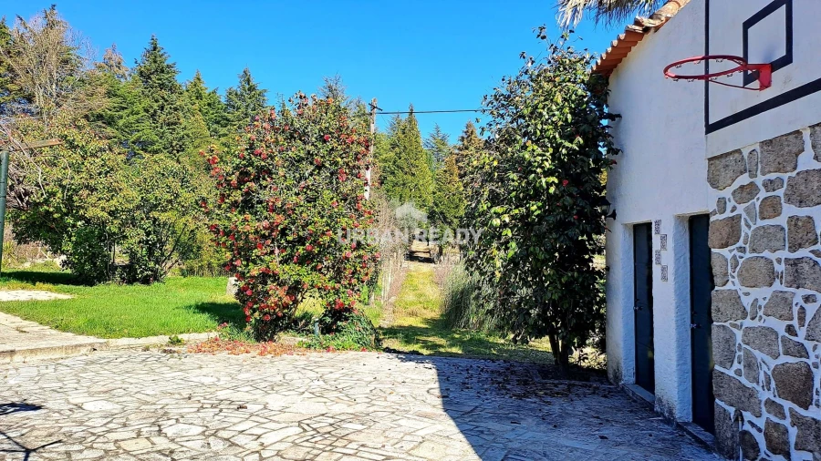 Quinta T6 para Venda em Mangualde, Mesquitela e Cunha Alta Foto 39