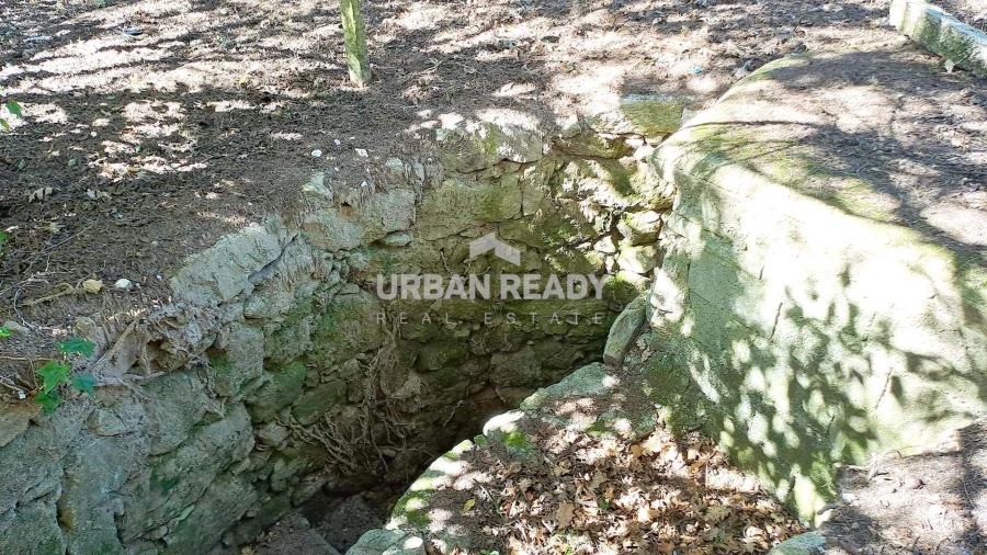 Quinta T6 para Venda em Mangualde, Mesquitela e Cunha Alta Foto 38