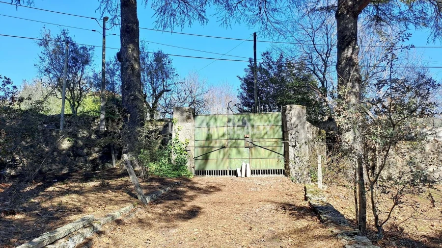 Quinta T6 para Venda em Mangualde, Mesquitela e Cunha Alta Foto 50