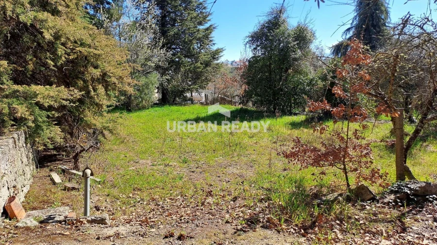 Quinta T6 para Venda em Mangualde, Mesquitela e Cunha Alta Foto 46