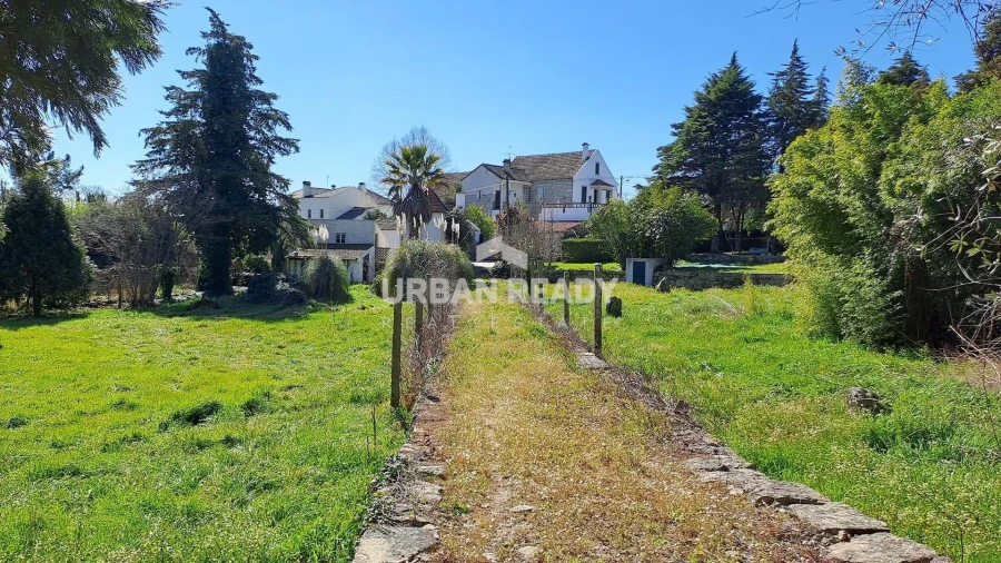 Quinta T6 para Venda em Mangualde, Mesquitela e Cunha Alta Foto 49