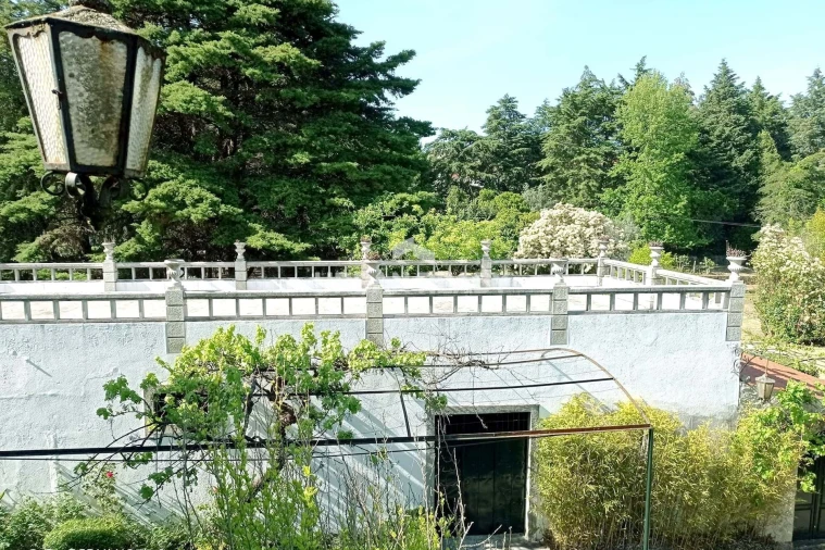 Quinta T6 para Venda em Mangualde, Mesquitela e Cunha Alta Foto 52