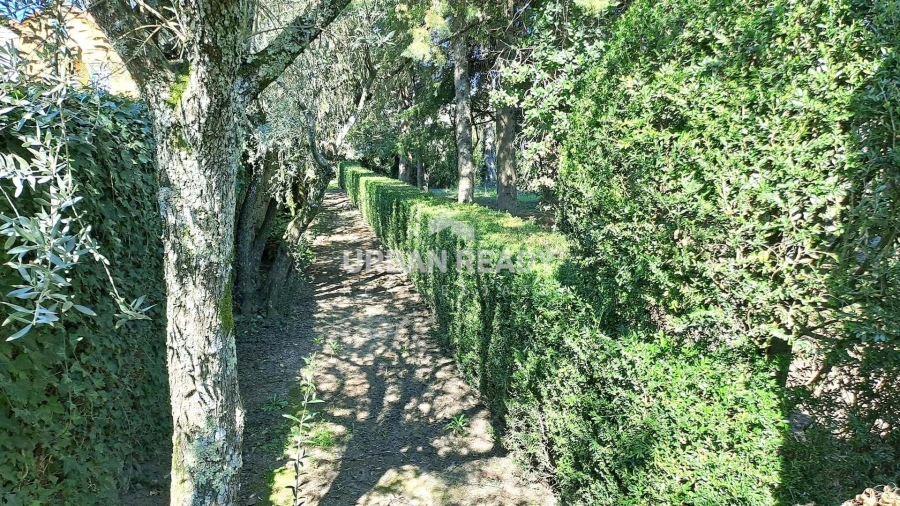 Quinta T6 para Venda em Mangualde, Mesquitela e Cunha Alta Foto 47