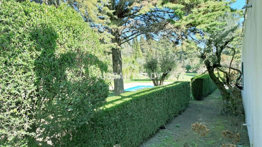 Quinta T6 para Venda em Mangualde, Mesquitela e Cunha Alta Foto 48