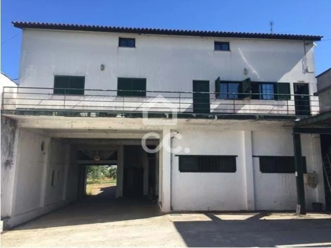 Armazém para Venda em Pussos São Pedro Foto 3