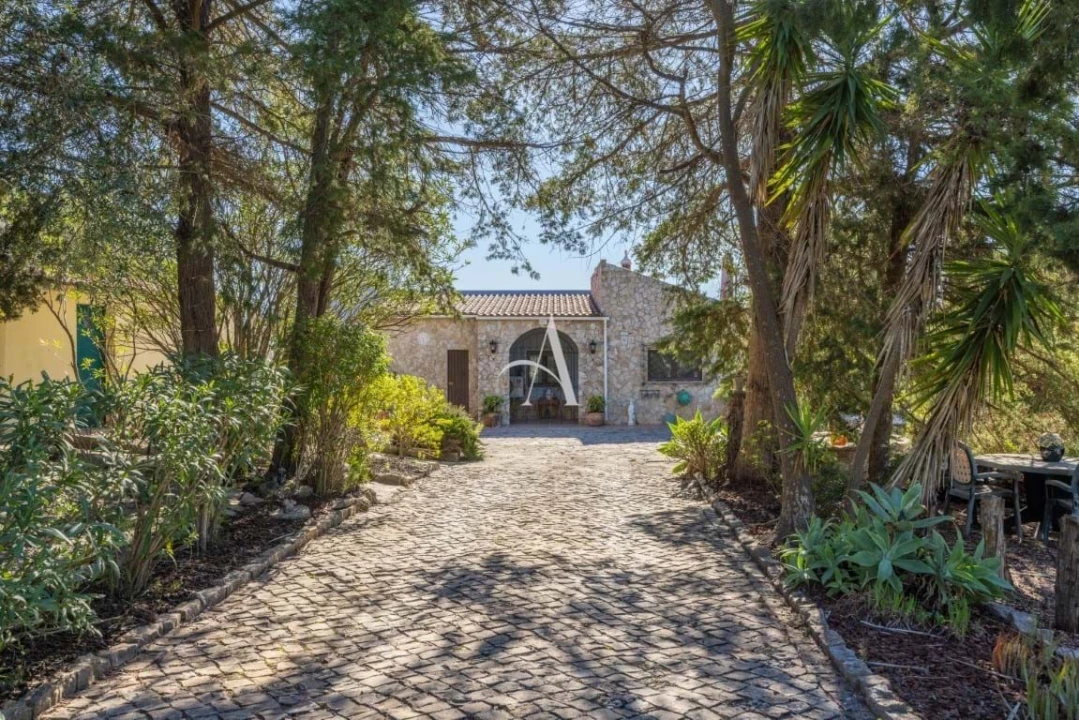 Moradia T3 para Venda em São Brás de Alportel Foto 59