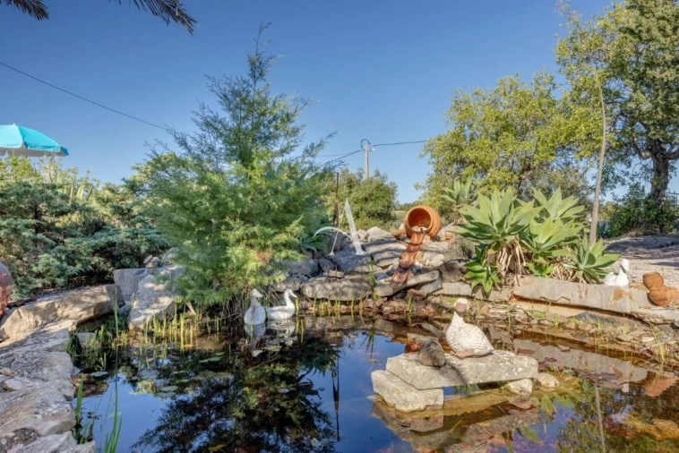 Moradia T3 para Venda em São Brás de Alportel Foto 64