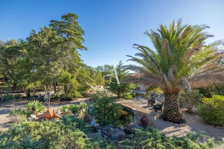 Moradia T3 para Venda em São Brás de Alportel Foto 62