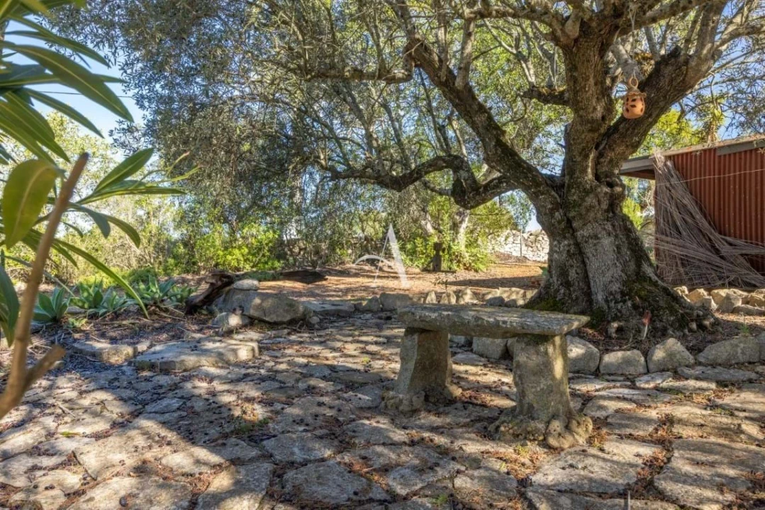 Moradia T3 para Venda em São Brás de Alportel Foto 57