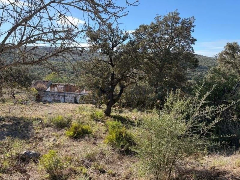 Terreno para Venda em Quarteira Foto 4