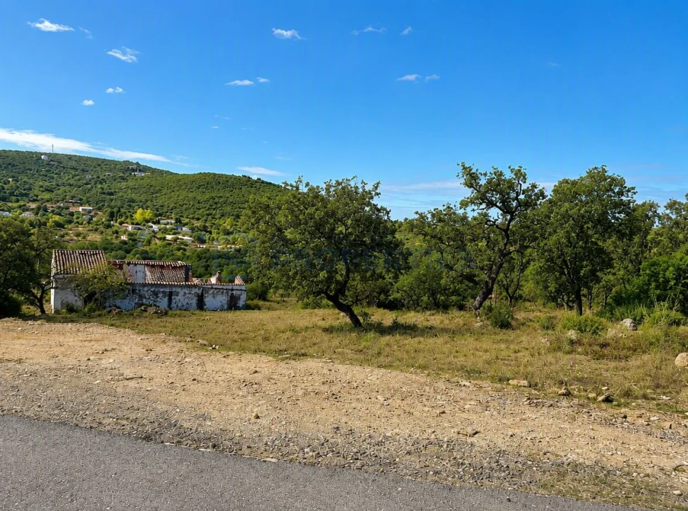 Terreno para Venda em Loule (São Clemente) Foto 6