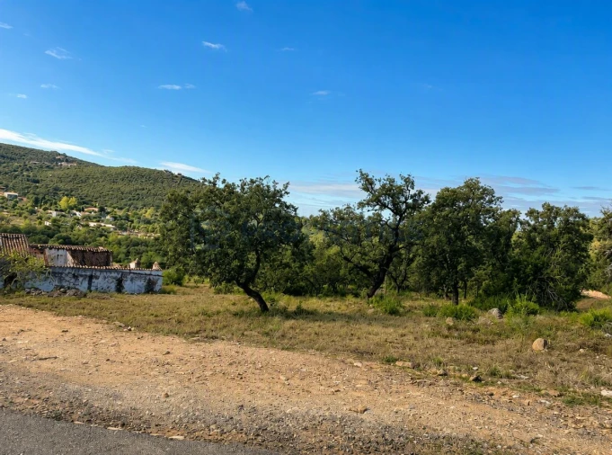 Terreno para Venda em Loule (São Clemente) Foto 8