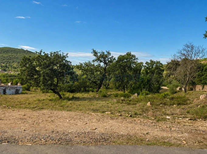 Terreno para Venda em Loule (São Clemente) Foto 7