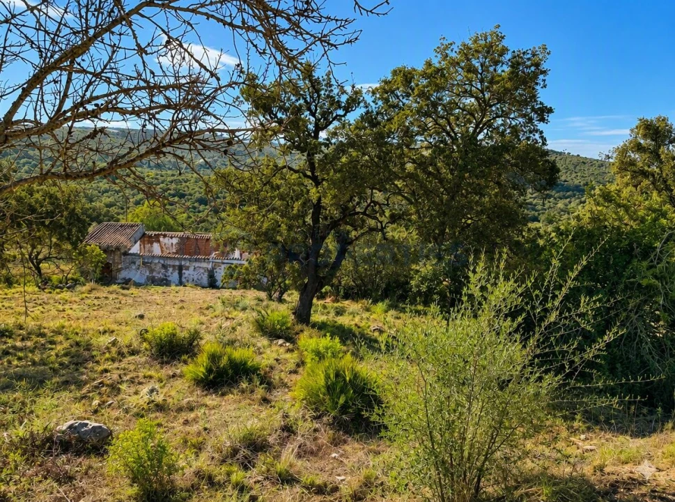 Terreno para Venda em Loule (São Clemente) Foto 4