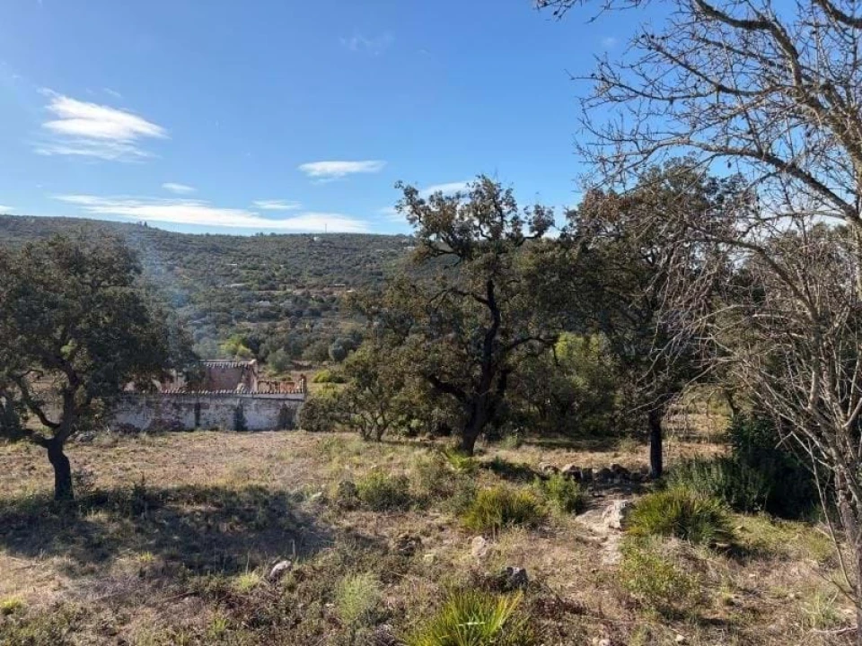 Terreno para Venda em Quarteira Foto 5