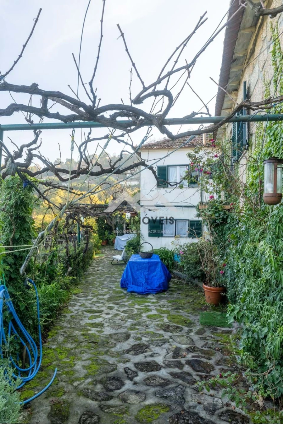 Moradia T3 para Venda em Oliveira do Douro Foto 62