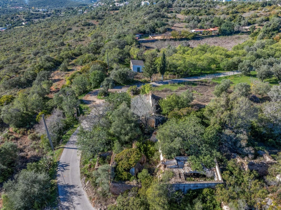 Terreno para Venda em Loule (São Clemente) Foto 7