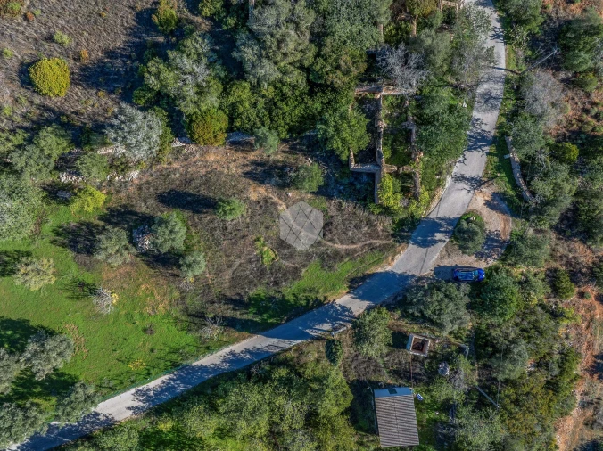Terreno para Venda em Loule (São Clemente) Foto 10