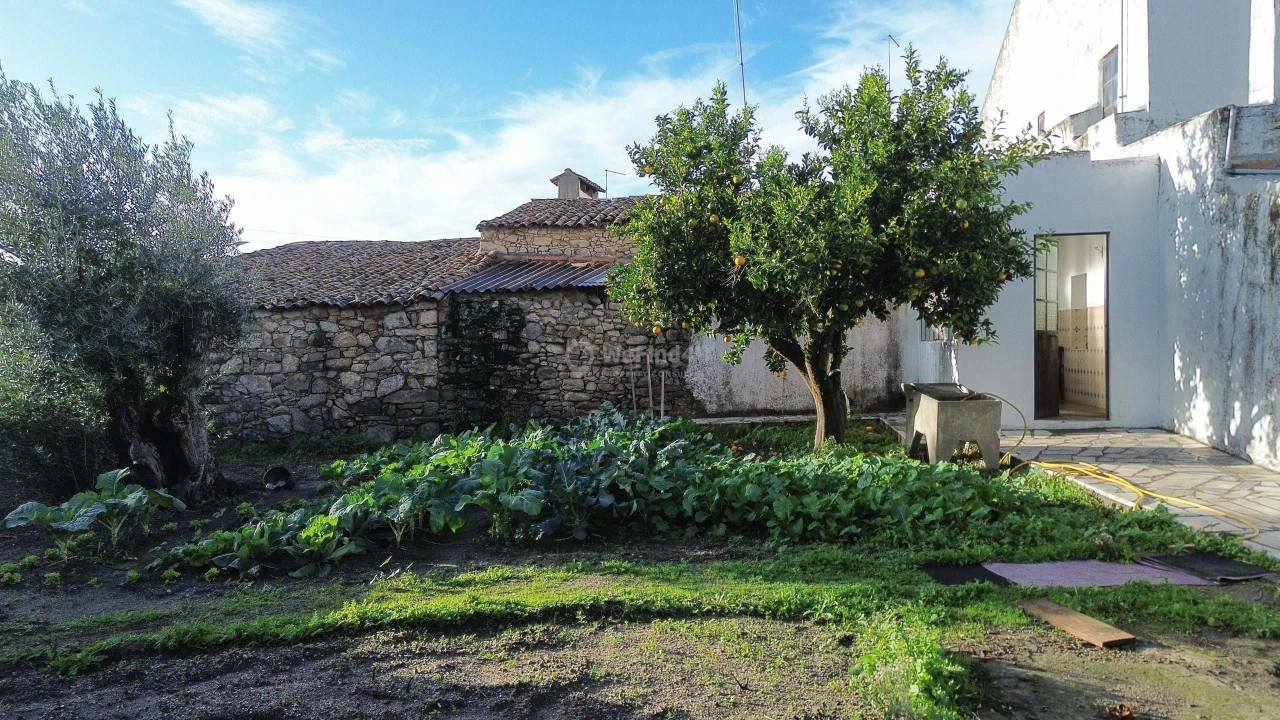 Moradia T3 para Venda em Gafete Foto 41