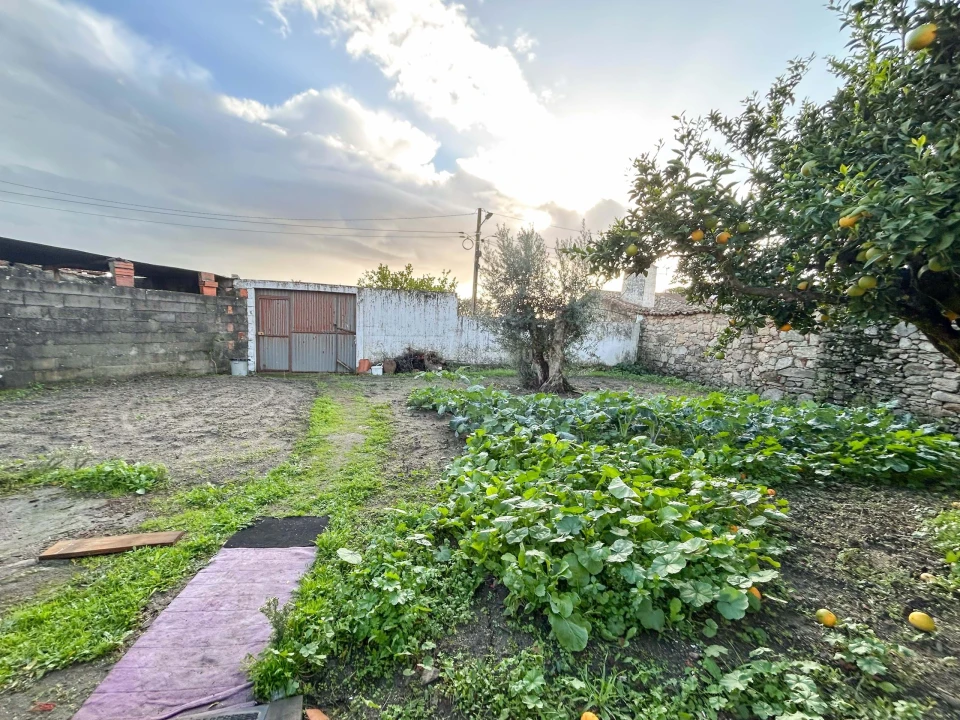 Moradia T3 para Venda em Gafete Foto 43