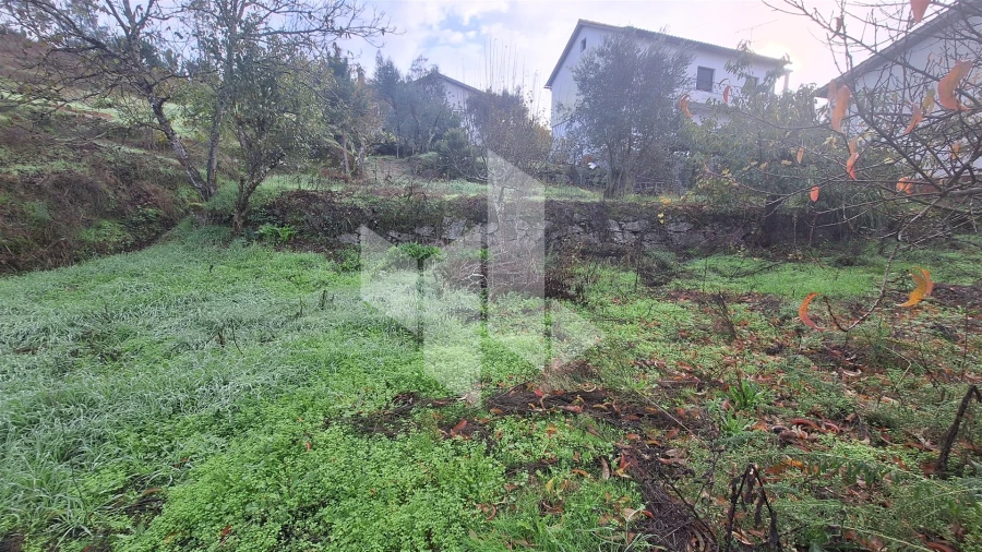 Moradia T2 para Venda em São Miguel do Outeiro e Sabugosa Foto 10