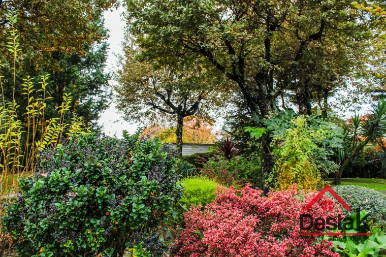 Moradia T3 para Venda em Mundão Foto 52