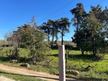 Moradia T3 para Venda em Cela