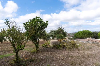 Moradia T3 para Venda em Cela