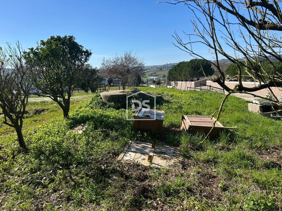 Moradia T3 para Venda em Cela Foto 26