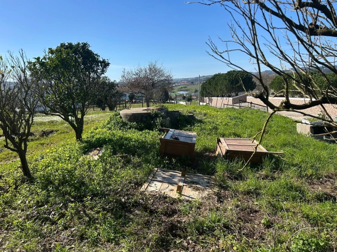 Moradia T3 para Venda em Cela Foto 10